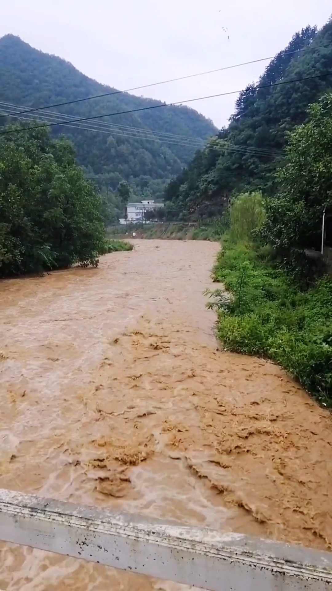 记录生活#汉中的秋天雨季,秦岭山里的大雨,洪流冲了下来,流入汉江