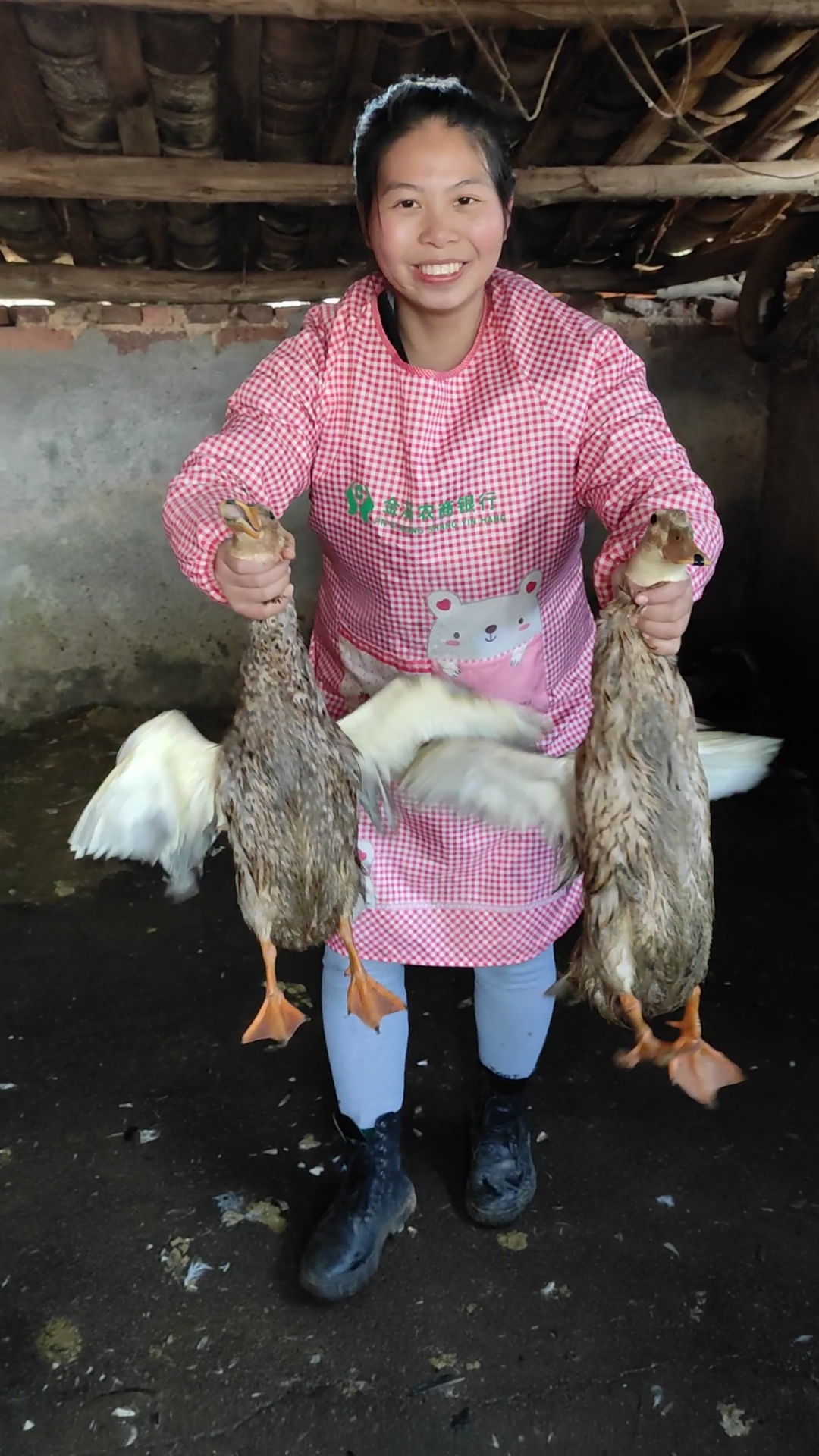 抓了两只母鸭子