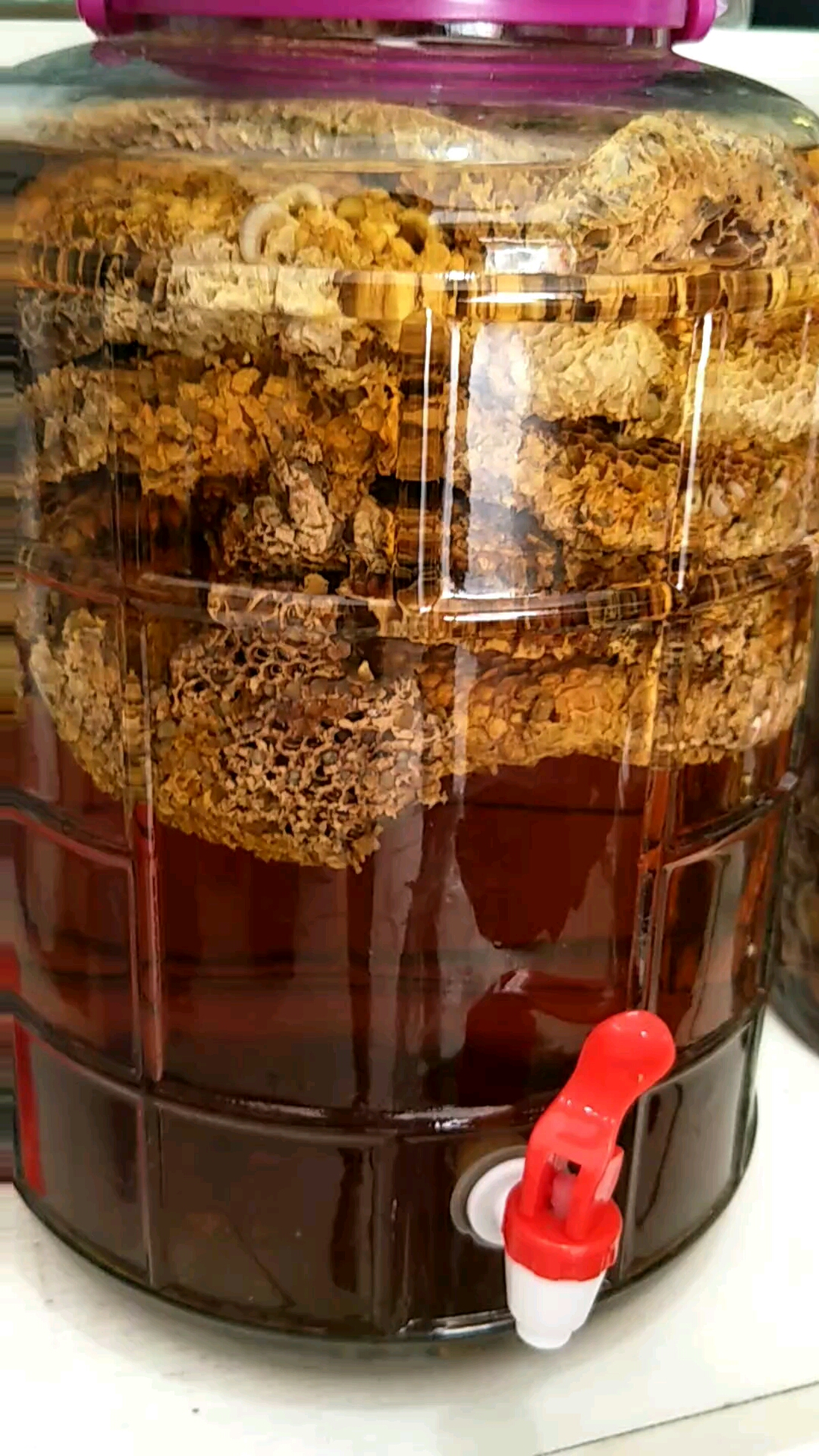 蜂巢酒今朝有酒今朝醉生活不要太疲惫