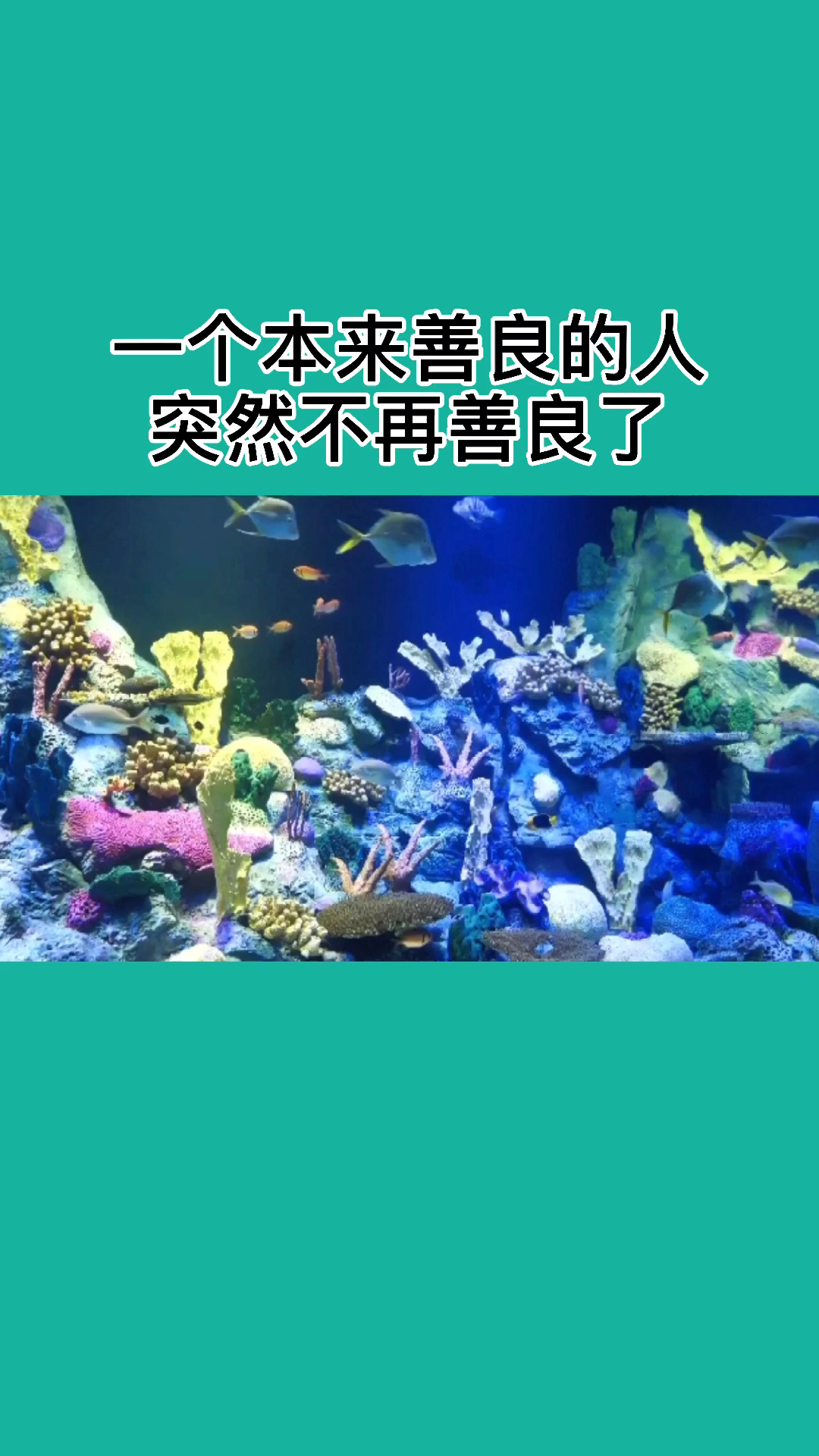 我还是曾经那个少年你体会过不再善良的过程吗