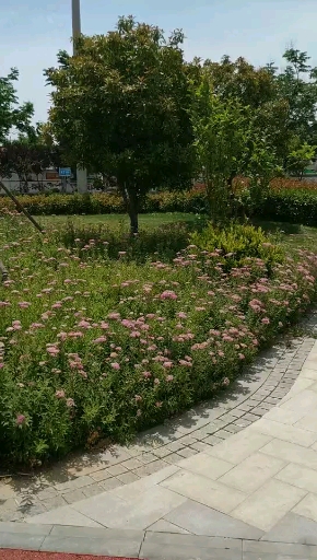 音为有你#清河湾公园