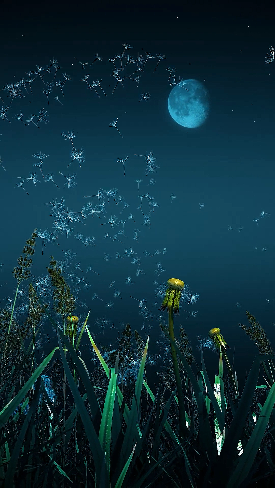 蒲公英随风而去,即是自由也是孤独.