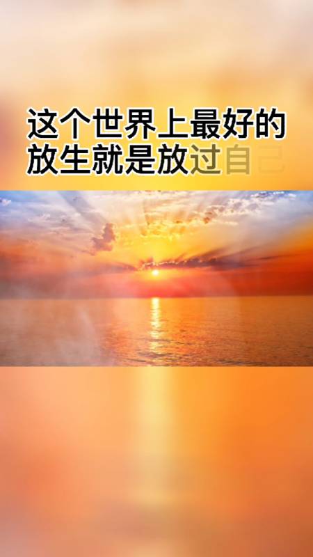 这个世界上最好的放生就是,放过自己