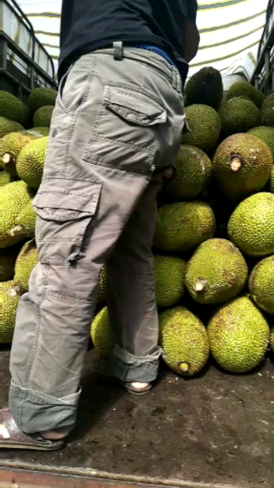 自己也得装一车菠萝蜜