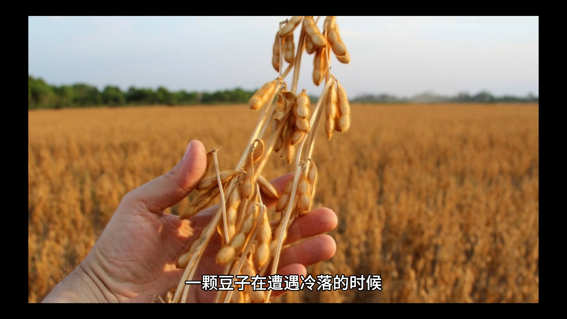 學會猶太人賣豆子的思維你也能賺錢