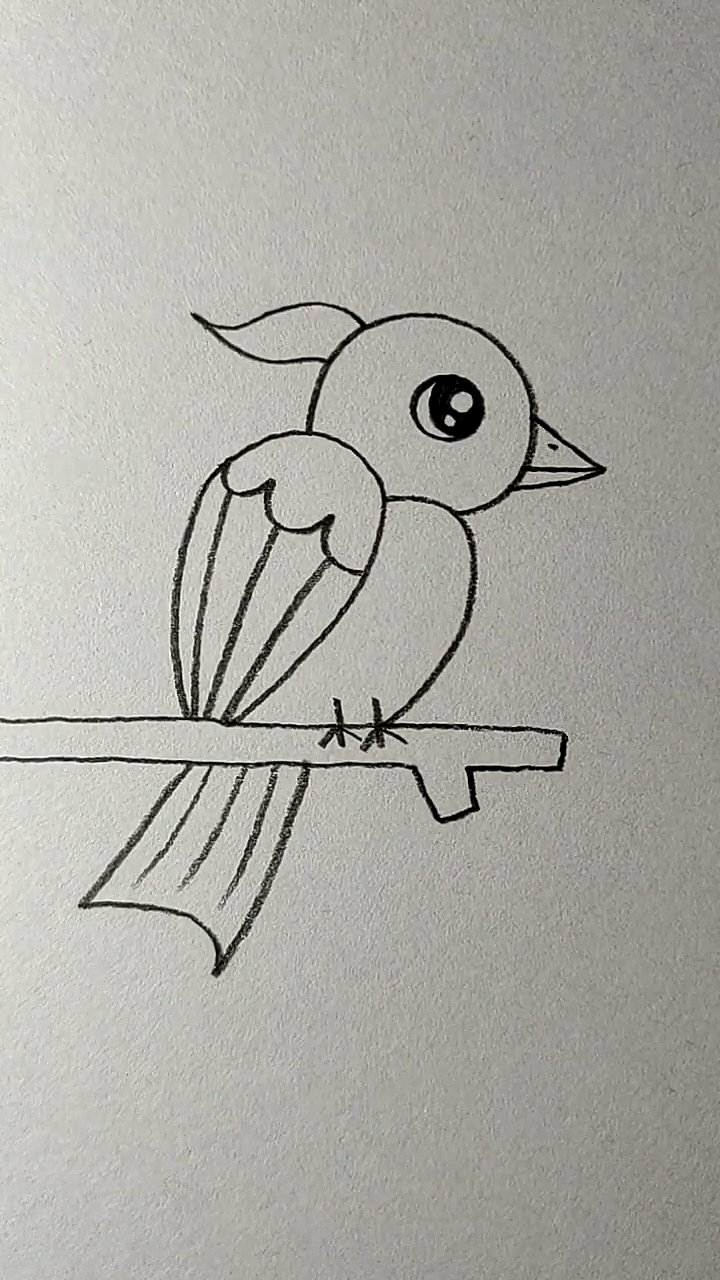 简笔画#用22画一只帅气的小鸟
