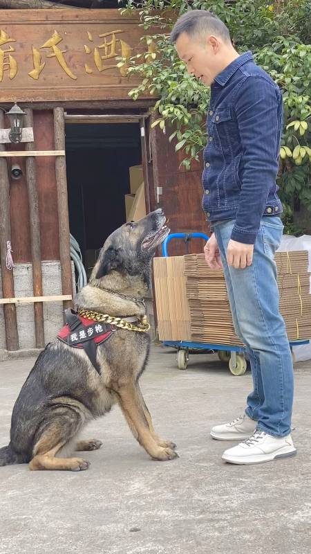 2020-11-05 0举报 酒哥与步枪