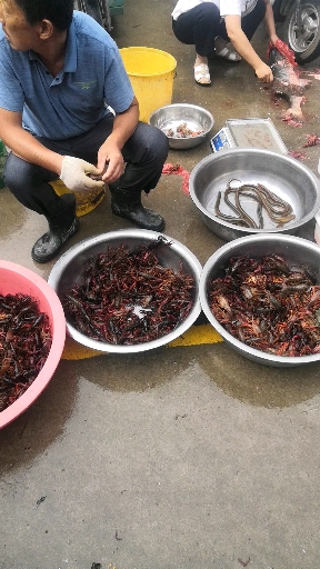 卖龙虾咯.