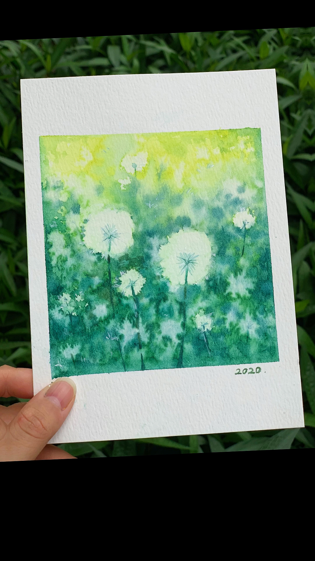 水彩教程#小清新水彩蒲公英教程,想学画画的小伙伴看这里!