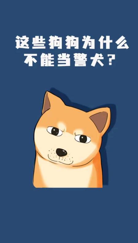 警犬#这些狗狗为什么不能当警犬?