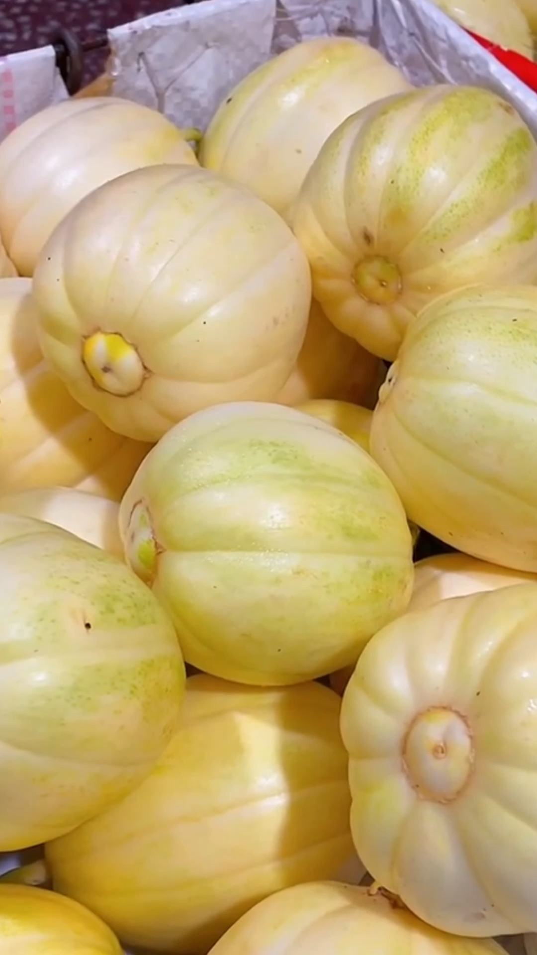 优质农产品##东北甜香瓜