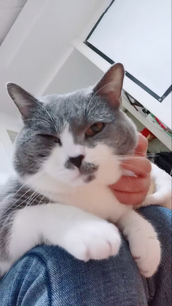 小歪嘴又来了,哈哈哈哈哈