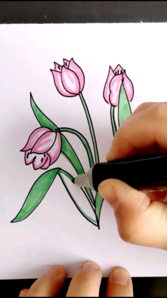 花花草草画一画