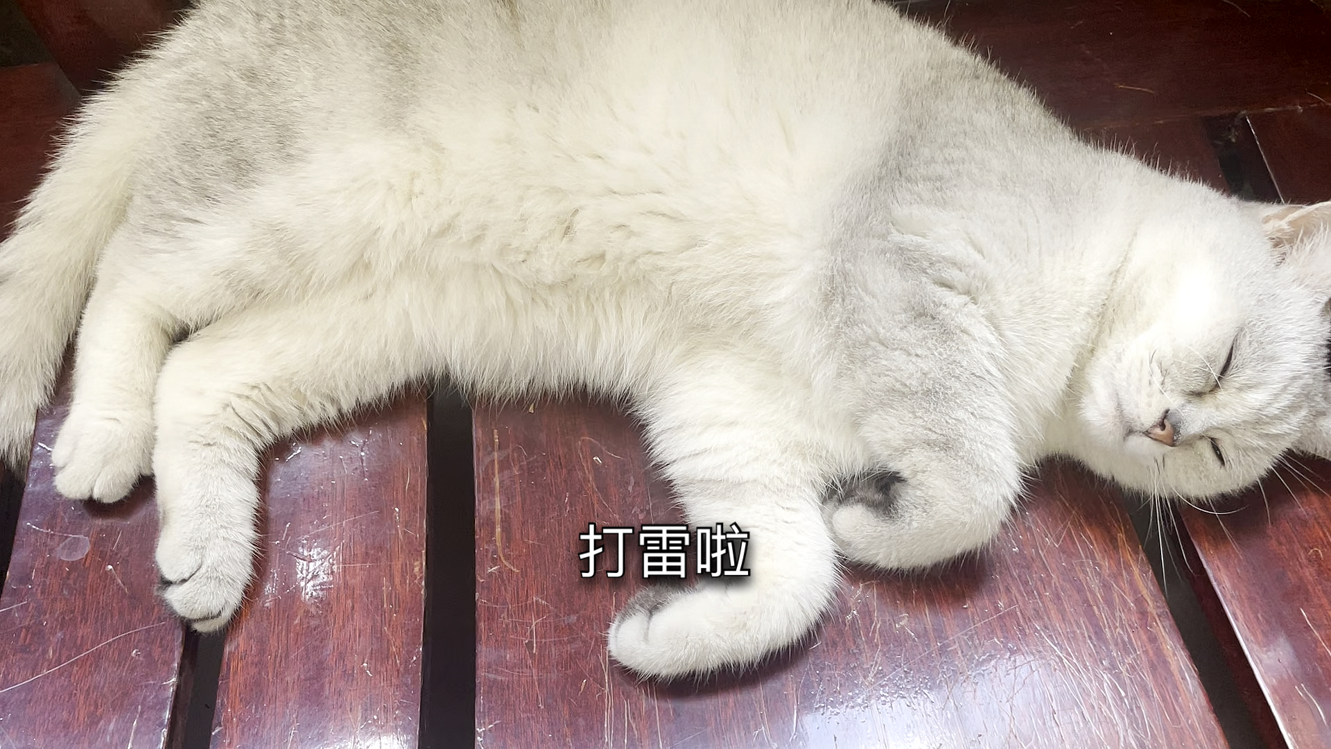 打雷了,也不影响我睡觉