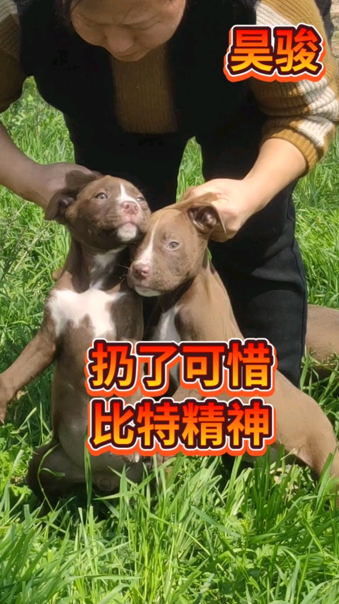 比特精神战神比特酷爱比特