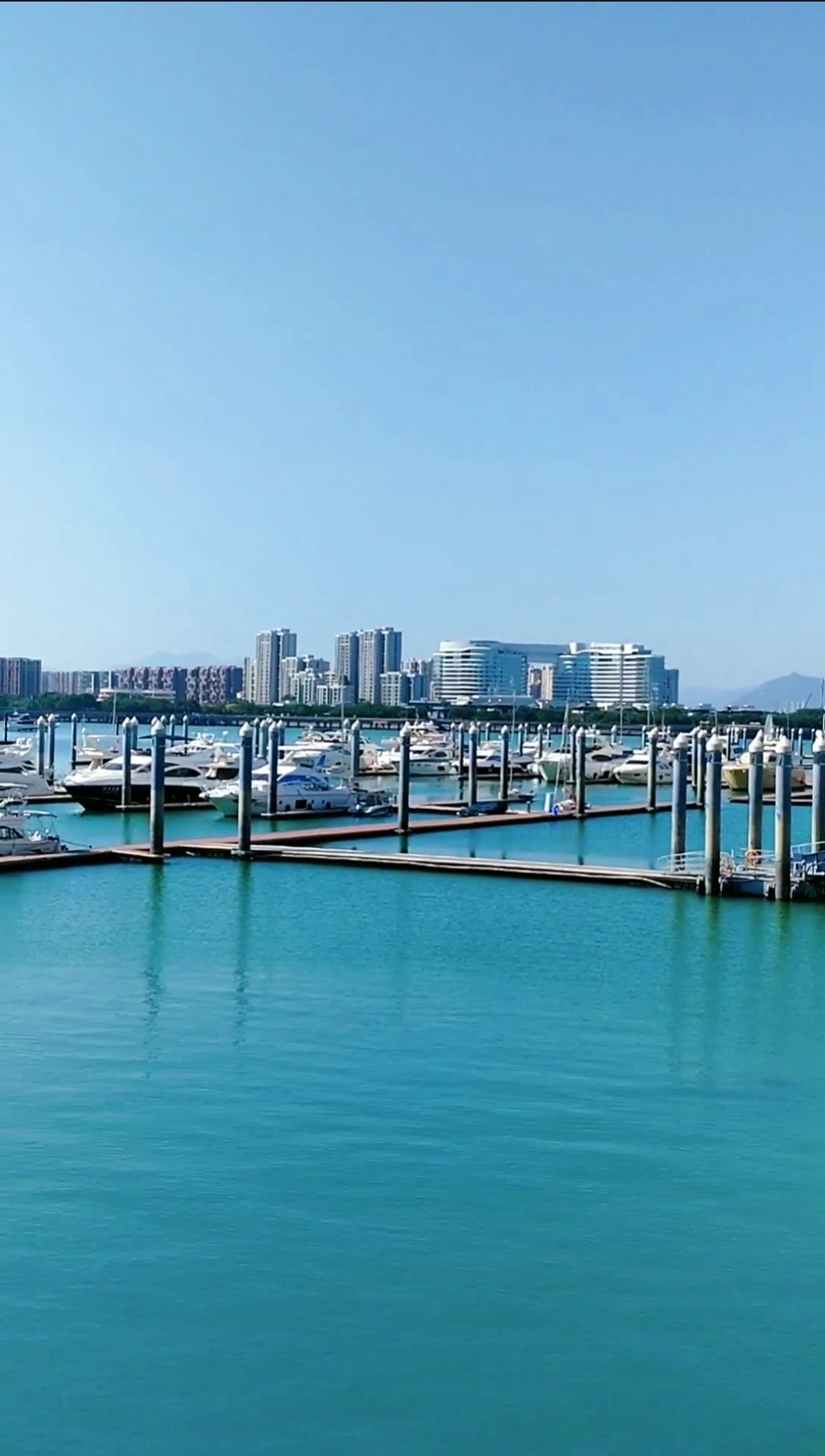 不一样的城市#厦门五缘湾帆船港——被誉为"最美丽的帆船港湾",帆