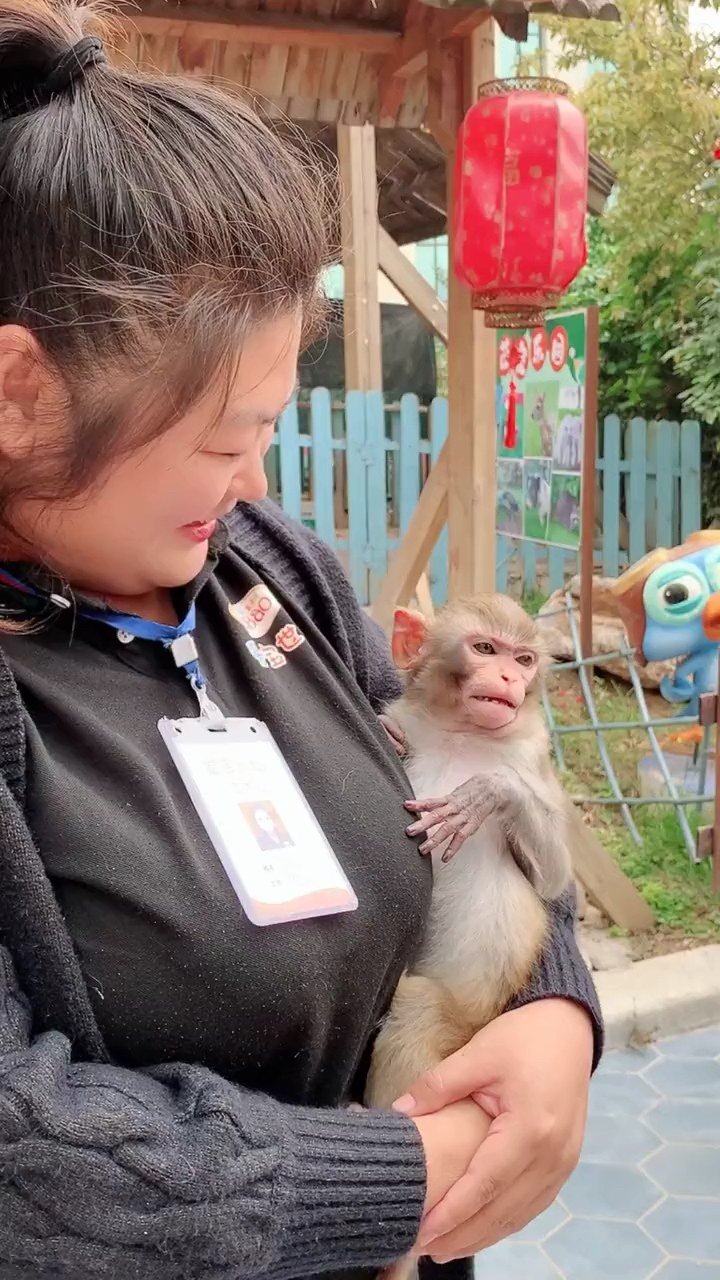 瞧瞧这能是一只正常的猪打出来的字吗