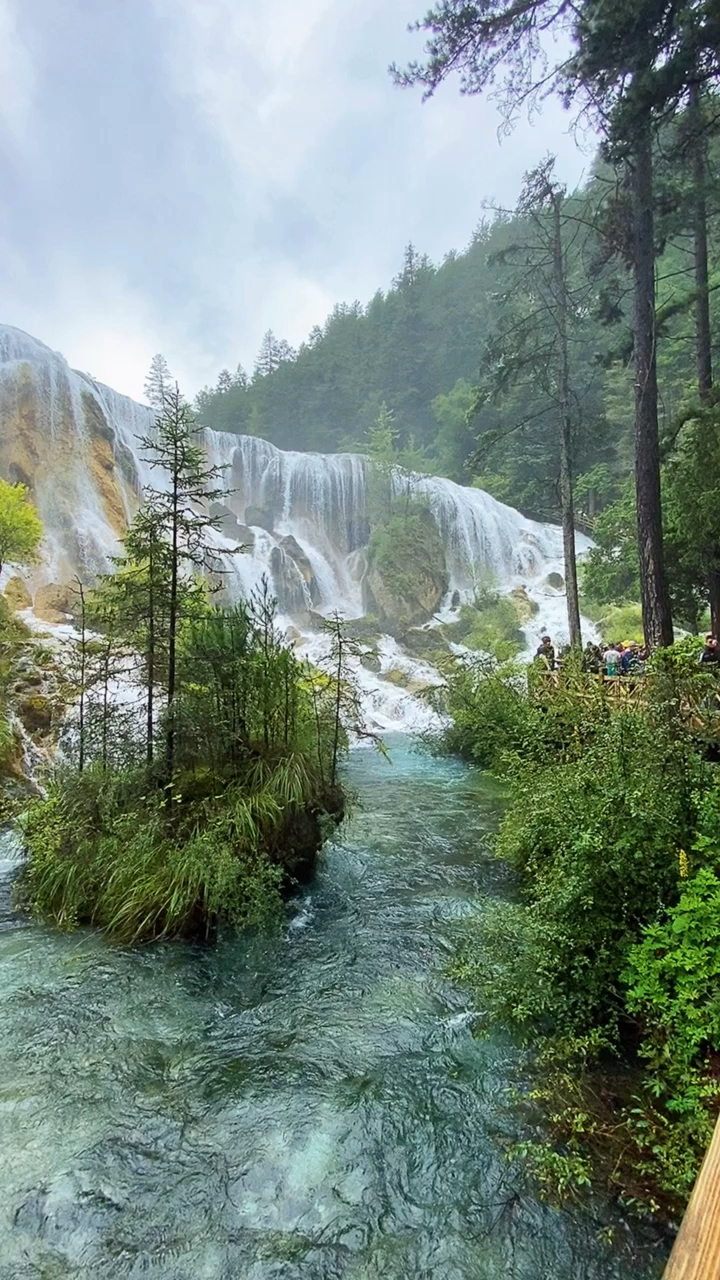 只见瀑布像银河下泻在山脚激起千波万浪水雾蒙蒙九寨归来不看水果然名