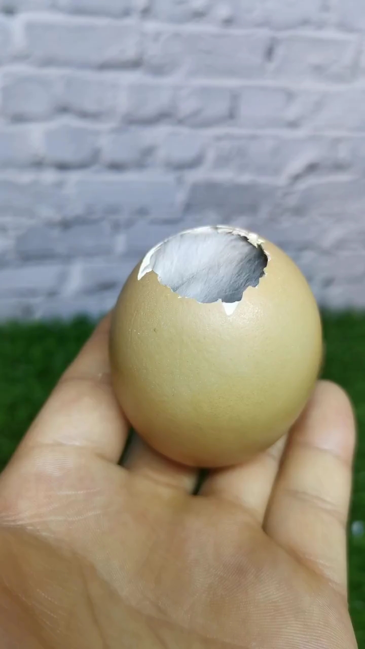 从鸡蛋里破壳而出