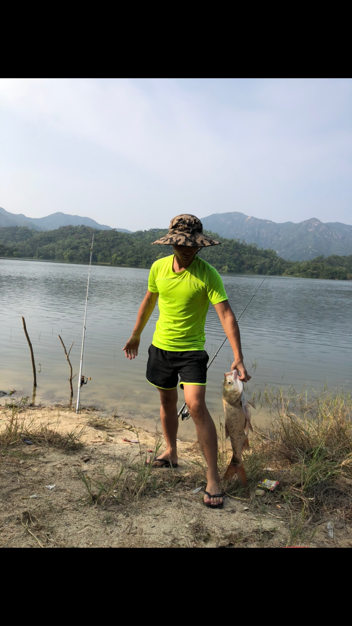 野钓水库,半小时上鱼,五斤大头