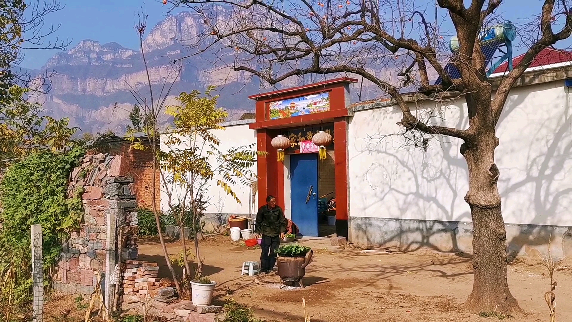 乡村生活#柿子树下的山村人家