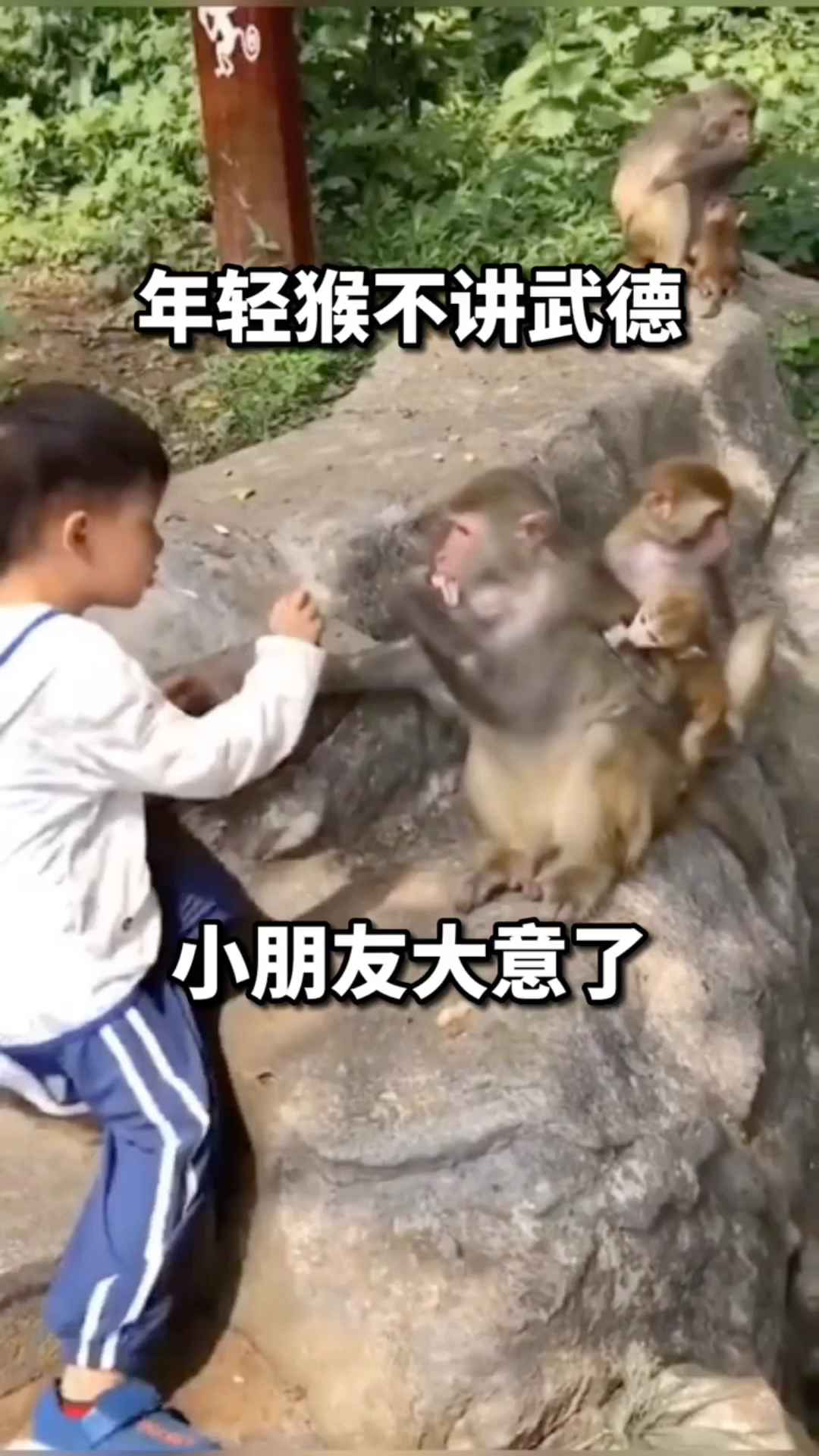 搞笑配音年轻猴不讲武德小朋友大意了
