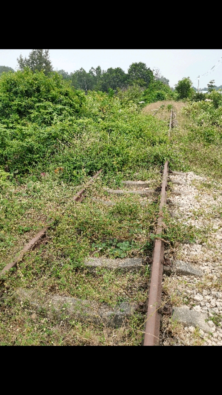 莺歌海盐场废弃的铁路