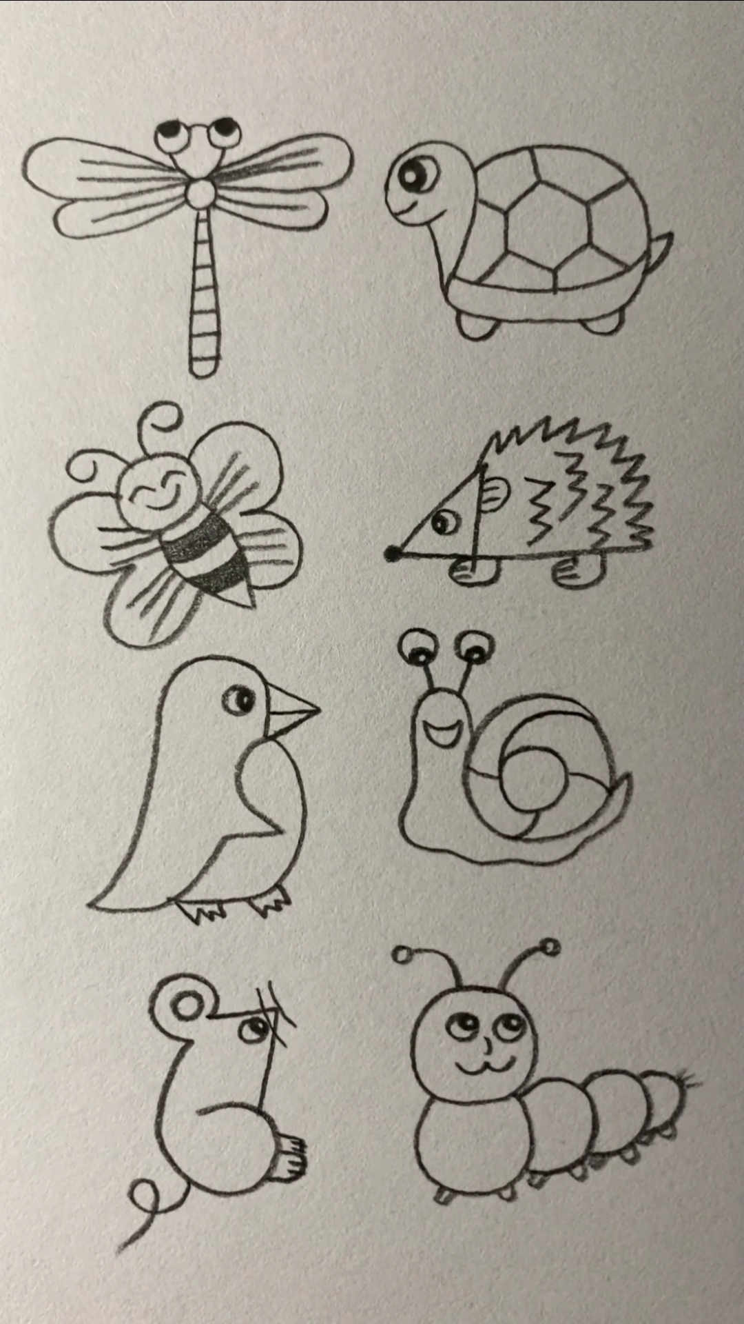 用12345678画不同的昆虫和动物