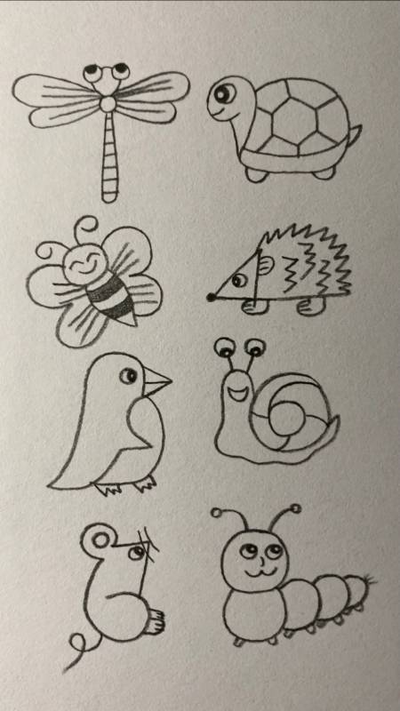 用12345678画不同的昆虫和动物