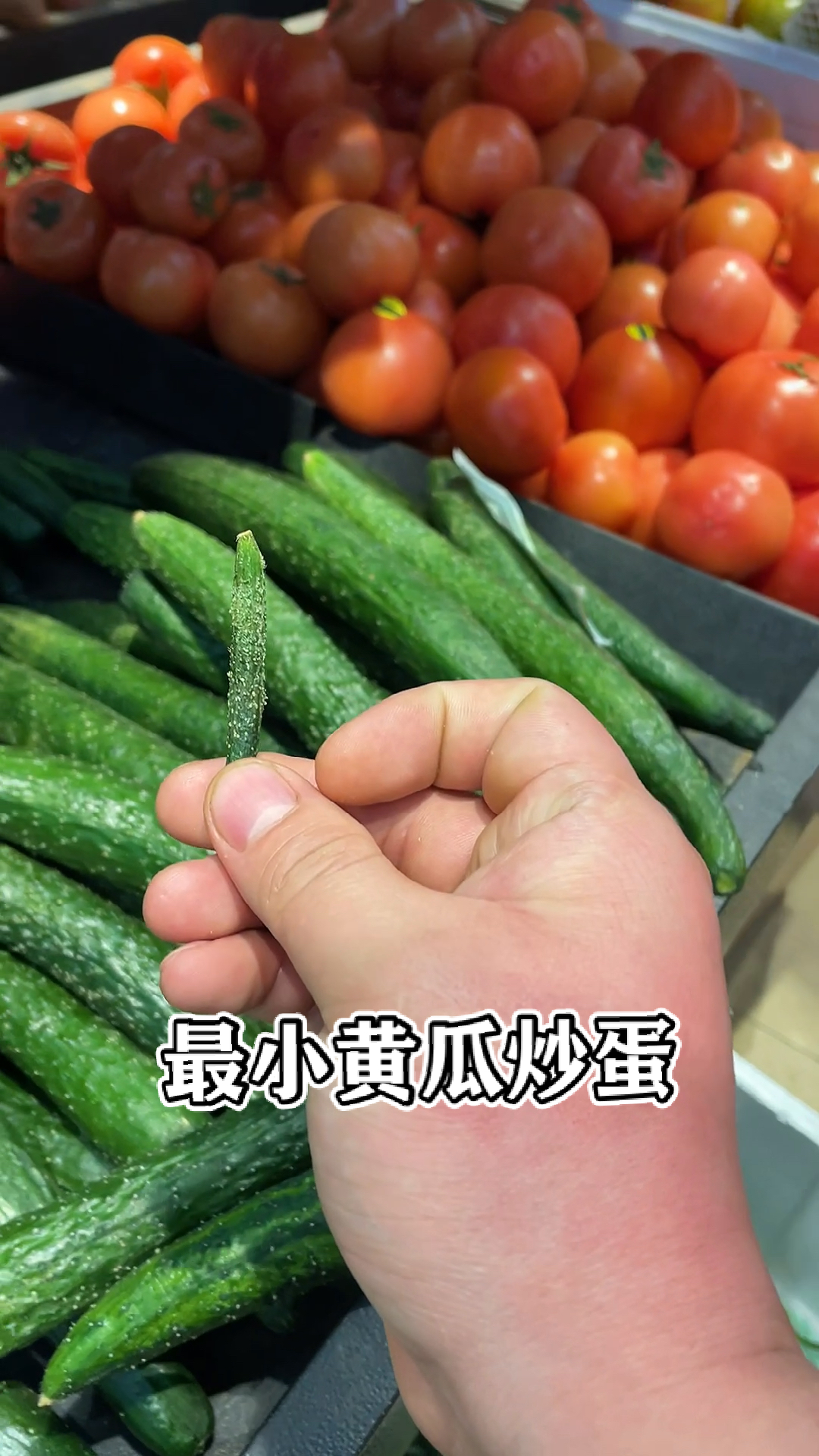 最小的黄瓜炒蛋,你们吃过没有