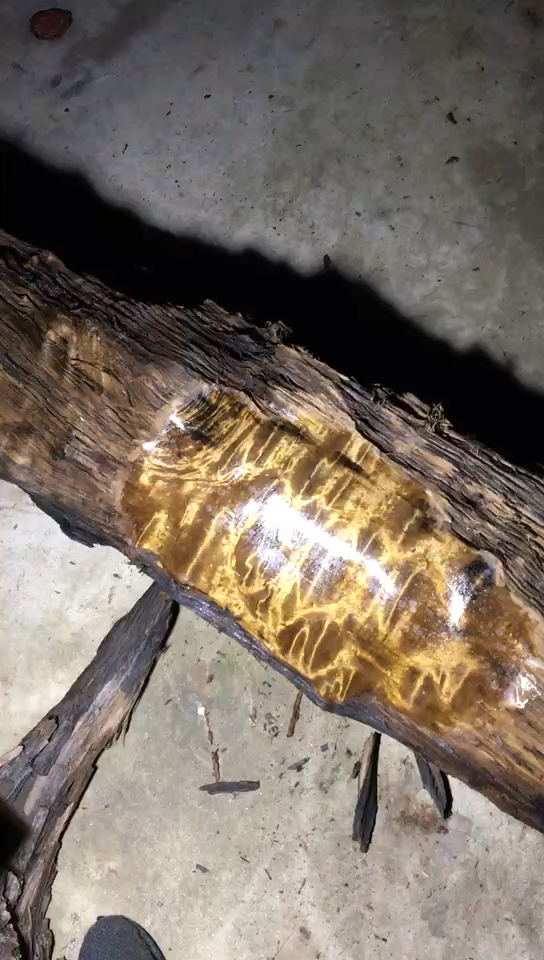 极品云彩纹金丝楠