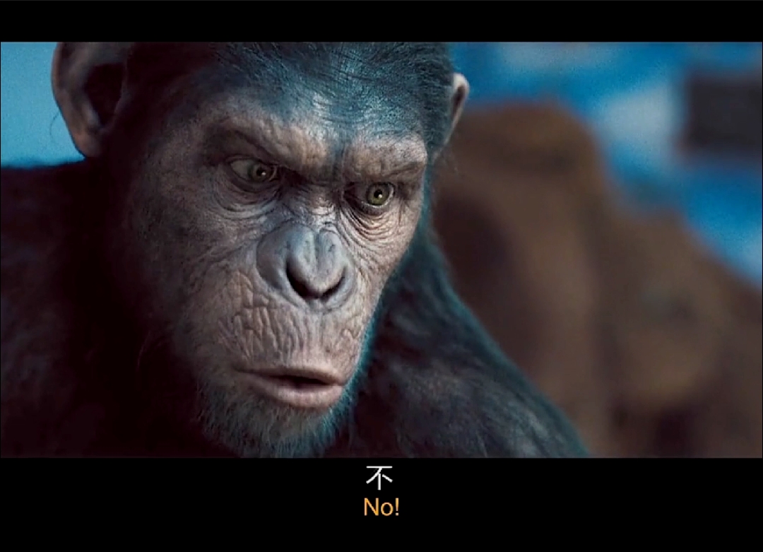 好看电影##猩球崛起凯撒说话那一刻一切都不一样了!
