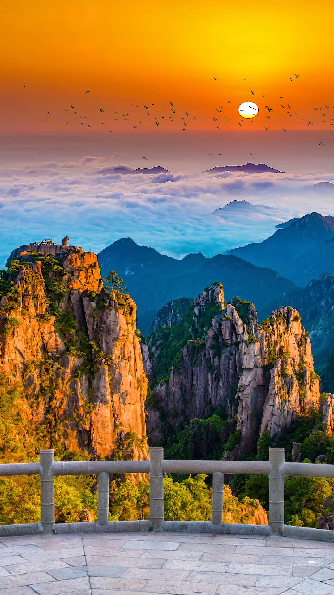 #旅游进行时#黄山奇景之猴子观海,到底是什么力量让它屹立于险峰之上,