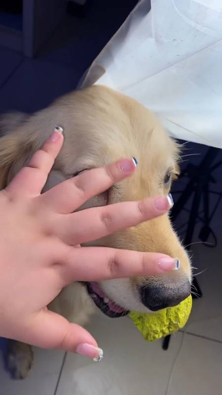 2022-06-0531刘一鸣6661588.