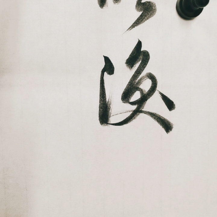 成年人练书法#行草书谱,驰神睢涣