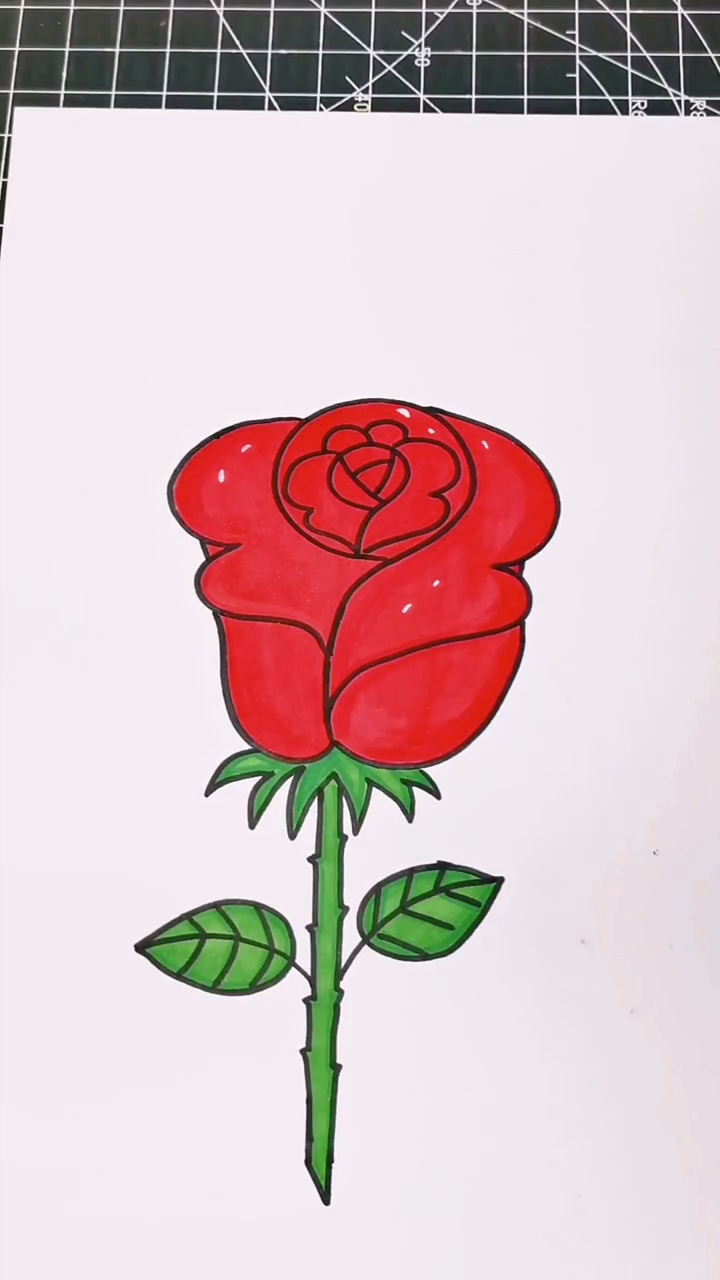 画玫瑰花的简笔画红色图片