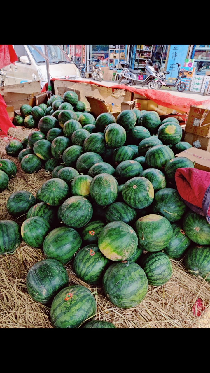 大宁西瓜又甜又沙