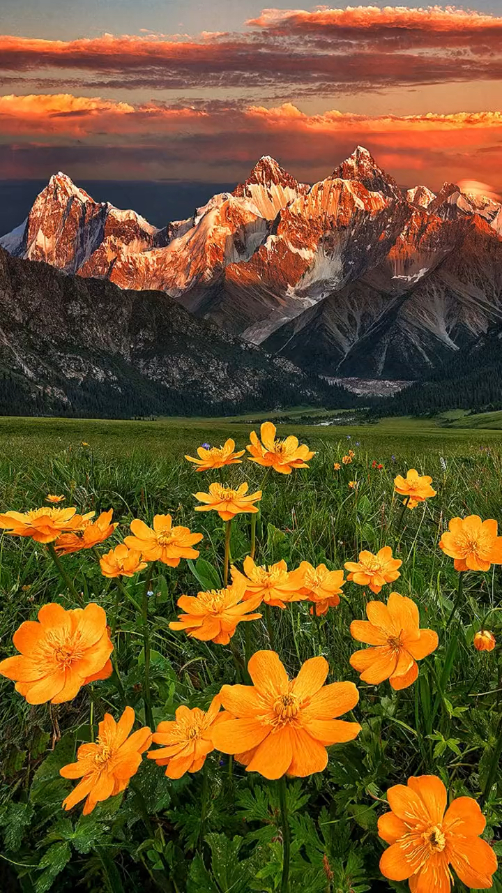 风景#人海浮沉,若能有一个温暖的人陪着,能减少人间一半的疾苦和颠沛