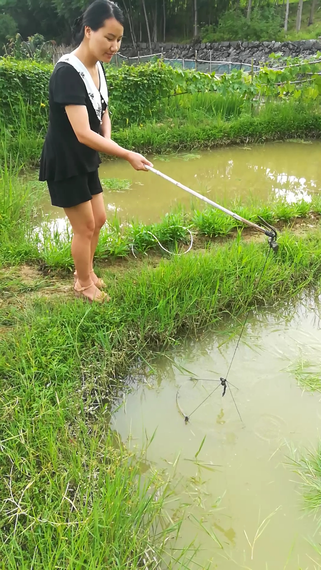 户外抓鱼#抓鱼其实很简单!
