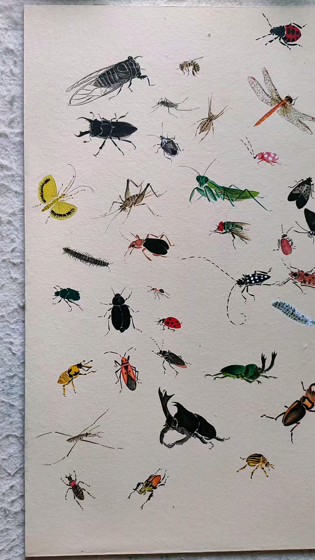 徐伯逸书画#画一幅百虫图