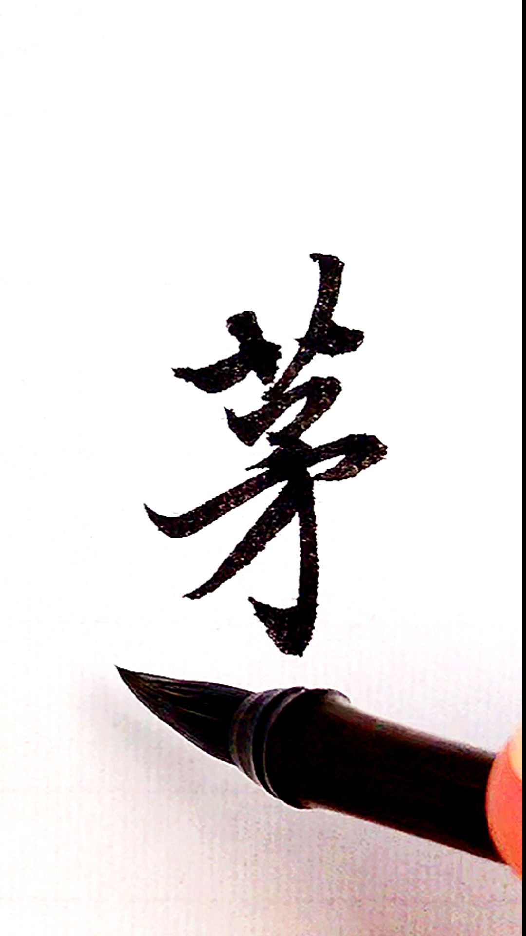 全民书法秀#百家姓:茅!