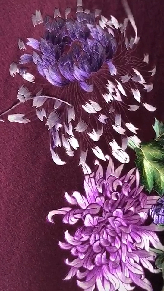 苏绣#苏绣,刺绣菊花,清秀淡雅,生机盎然!