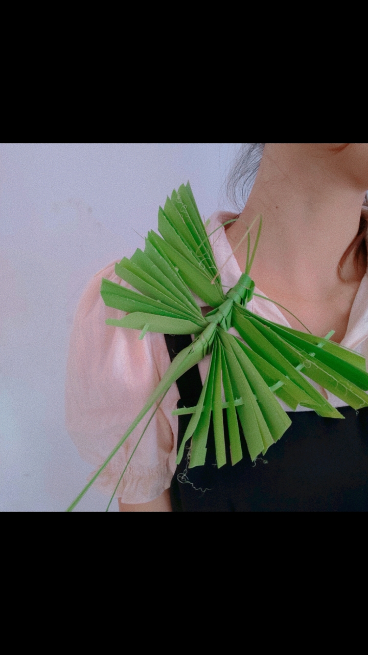 又是吐槽摄影师的一天棕榈叶手工编织蝴蝶我国非物质文化遗产