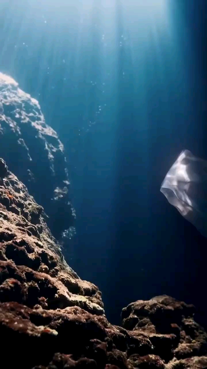 每年约有800多万吨塑料垃圾流入海洋,马里亚纳海沟也发现塑料颗粒,请