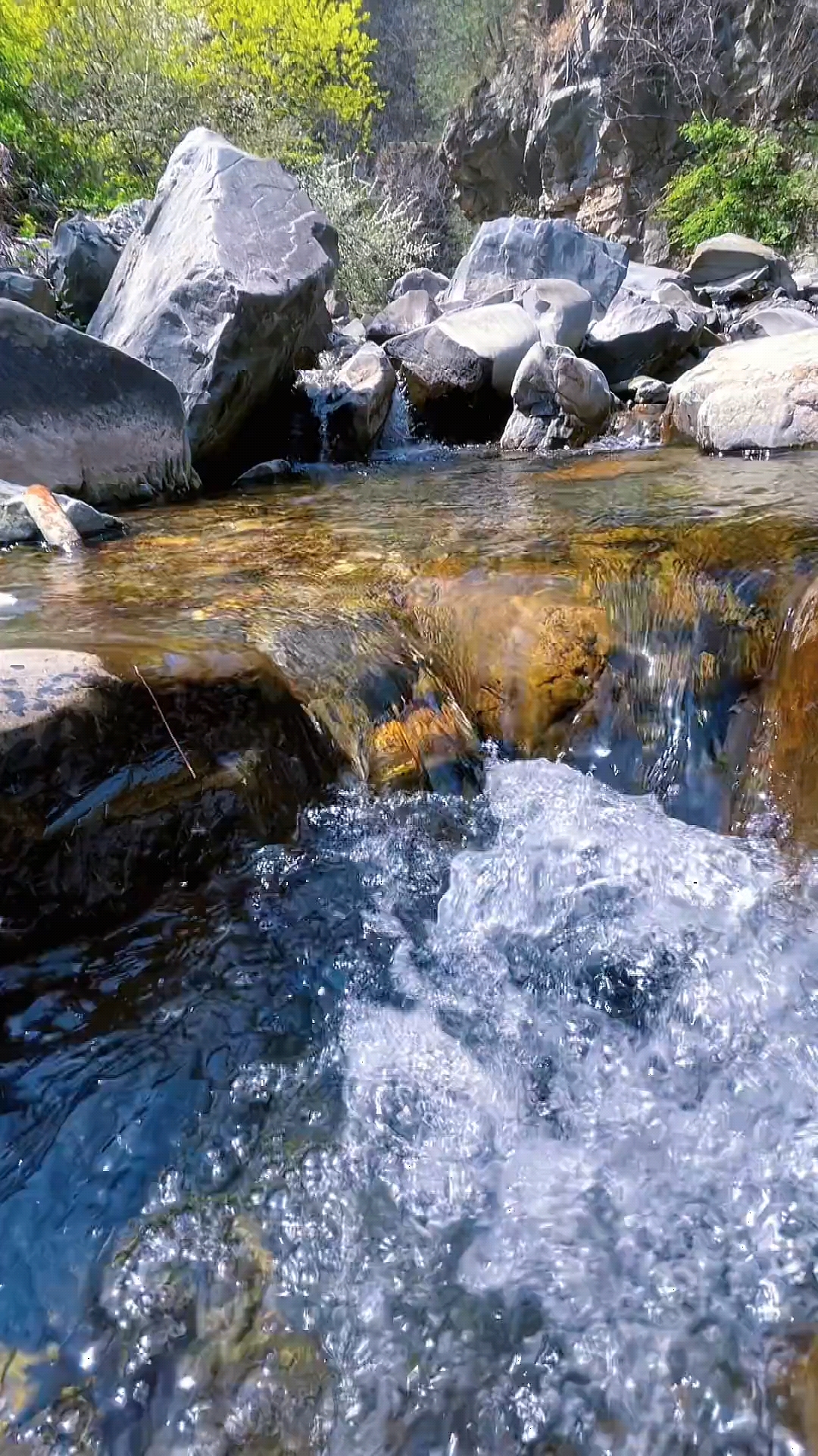 原生态无污染的小溪,清澈见底,鱼儿自由自在的游走