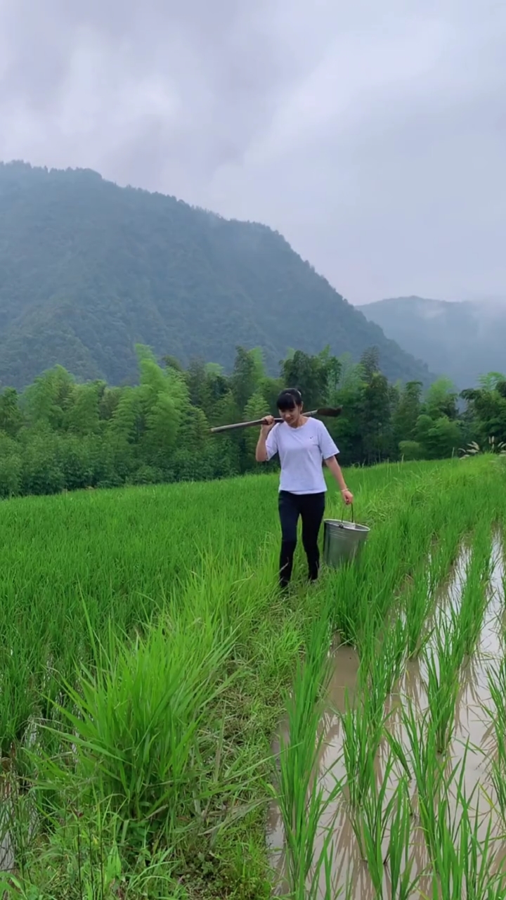 种庄稼就像照顾孩子,需要好好照顾才有回报,这个季节抓螺丝摘野果