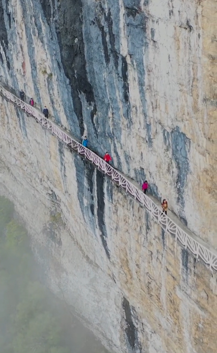 重庆南川金佛山绝壁栈道,我只佩服修栈道的人,怎么建上去的?
