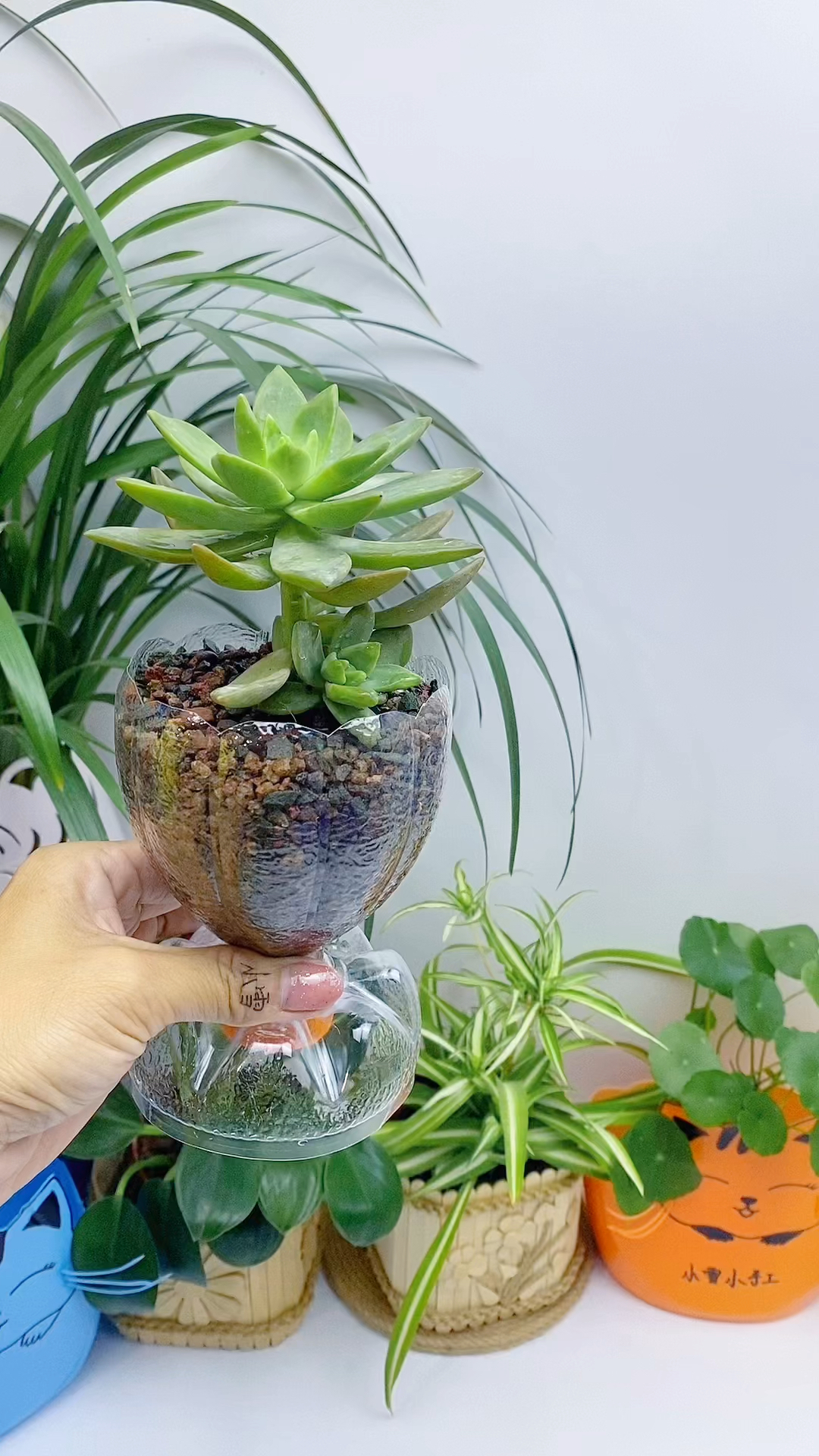 废物利用又是一个简单又实用的花盆