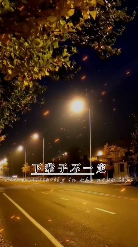 情感文字#下辈子不一定,还能遇见你.