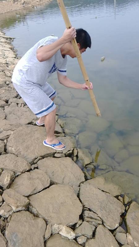 户外叉鱼#别眨眼,水里有条大鲤鱼!